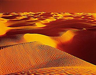 《绯红结系》导演想要开发一个更加成人的续作